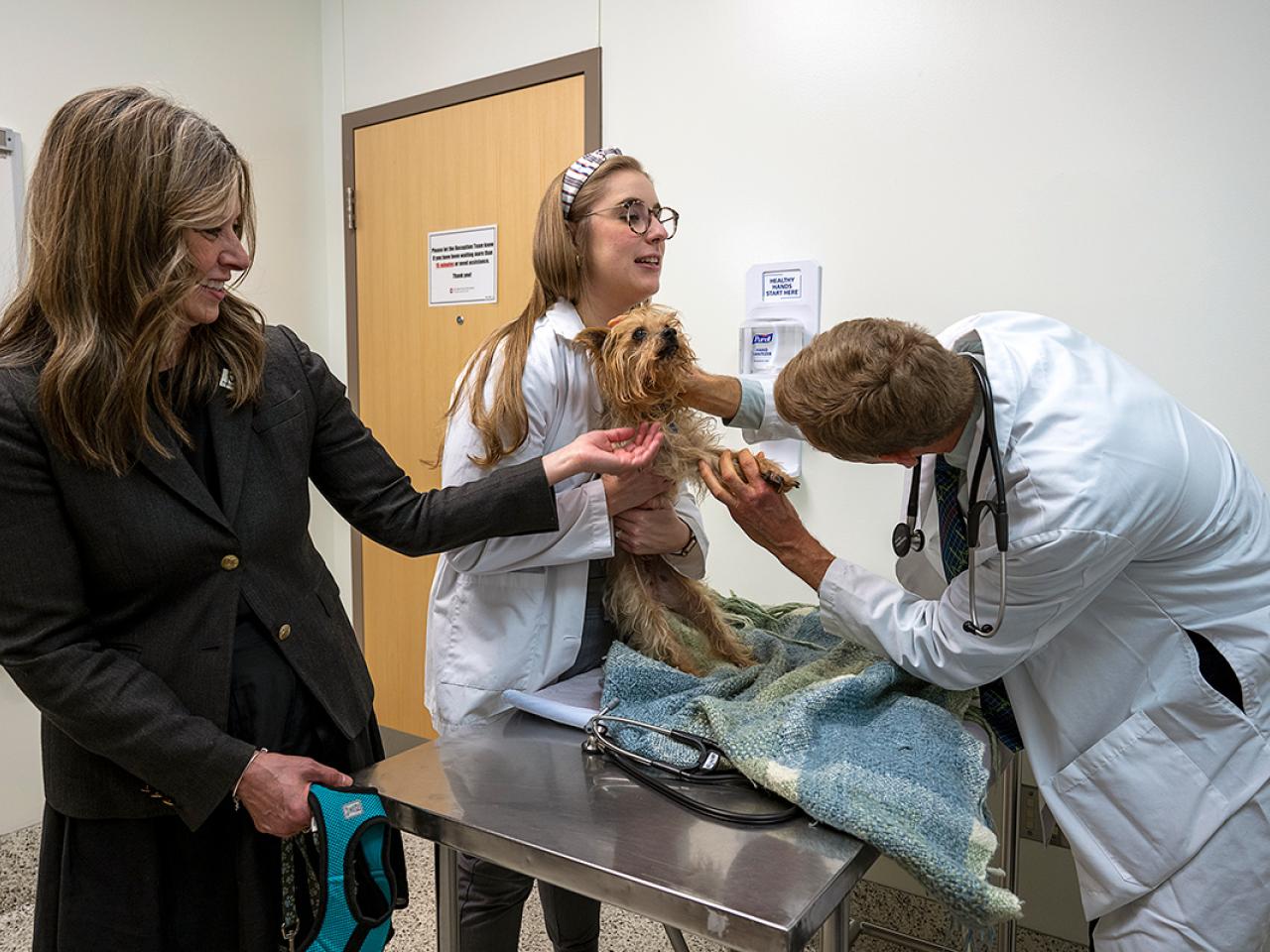 A dog is cared for by a medical professional at the Veterinary Medical Center.