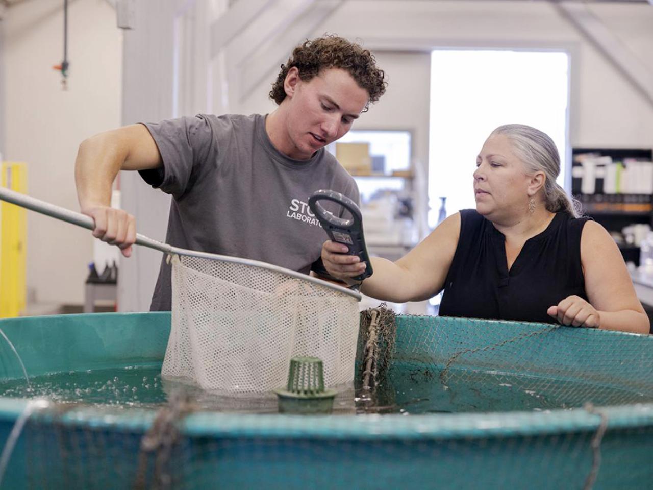 Mike Penka working on fishing lure research at Stone Lab that will effect the fishing and tourism industry along Lake Erie with his advisor Suzanne Gray