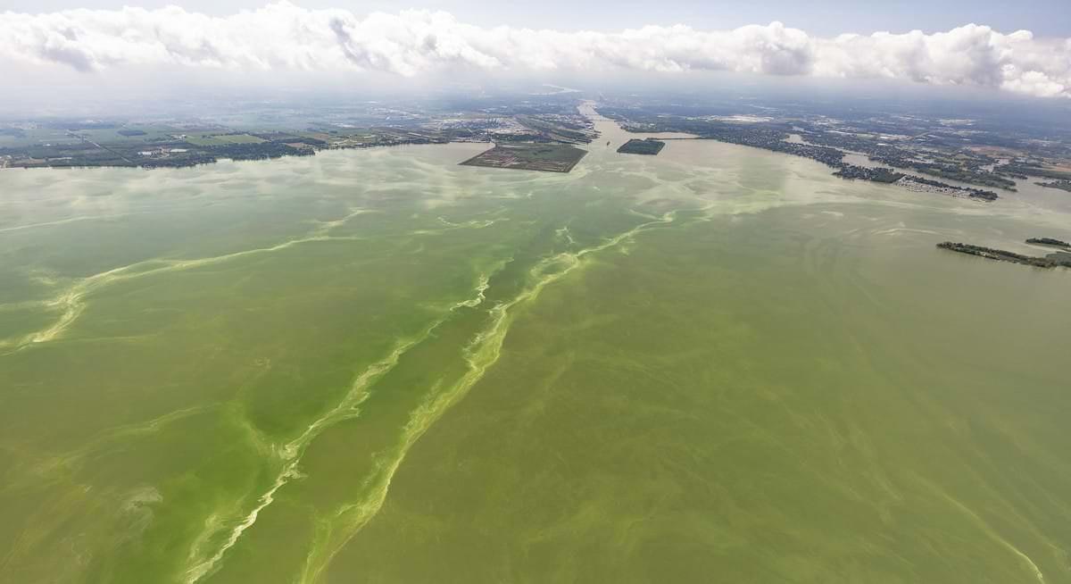 Aerial image captured in August 2019 over Lake Erie.