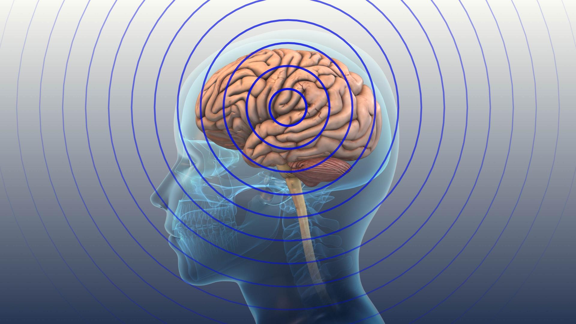 During the conference, law enforcement officers who had received a head injury on the job described symptoms including double vision, dizziness, chronic migraines, short-term memory loss, speech problems and temporary paralysis, as well as complications navigating recovery.
